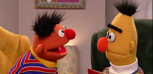 Sesame Street Ernie Bert Bed