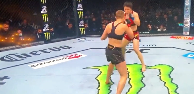 UFC Fight