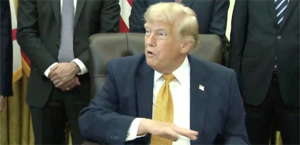 BREAKING VIDEO – Trump says multiple people arrested for vandalizing Reflecting Pool